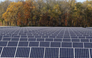 Evergreen Solar Farming. Photo of a field full of solar panels.