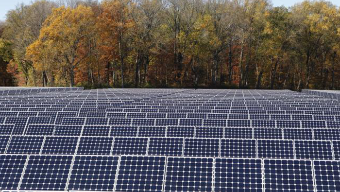 Evergreen Solar Farming. Photo of a field full of solar panels.